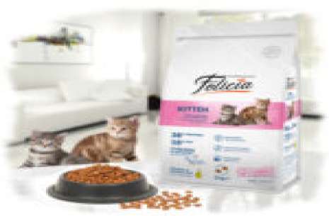 Cat Food – 2kg Felicia!